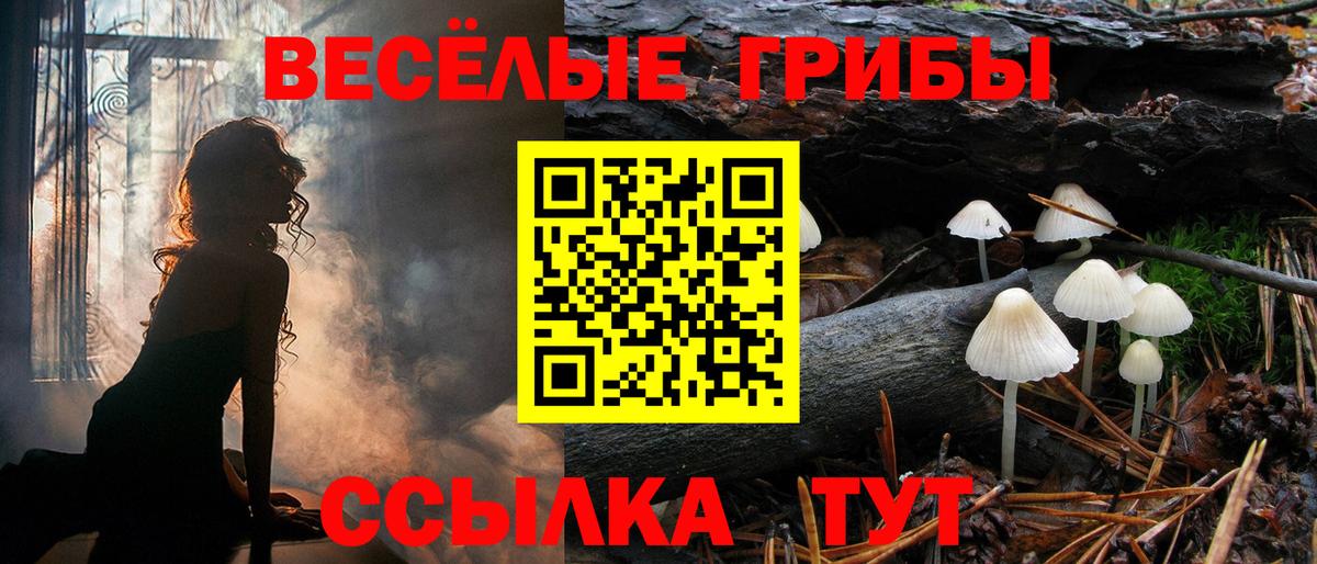 Галлюциногенные грибы Cubensis Каспийск